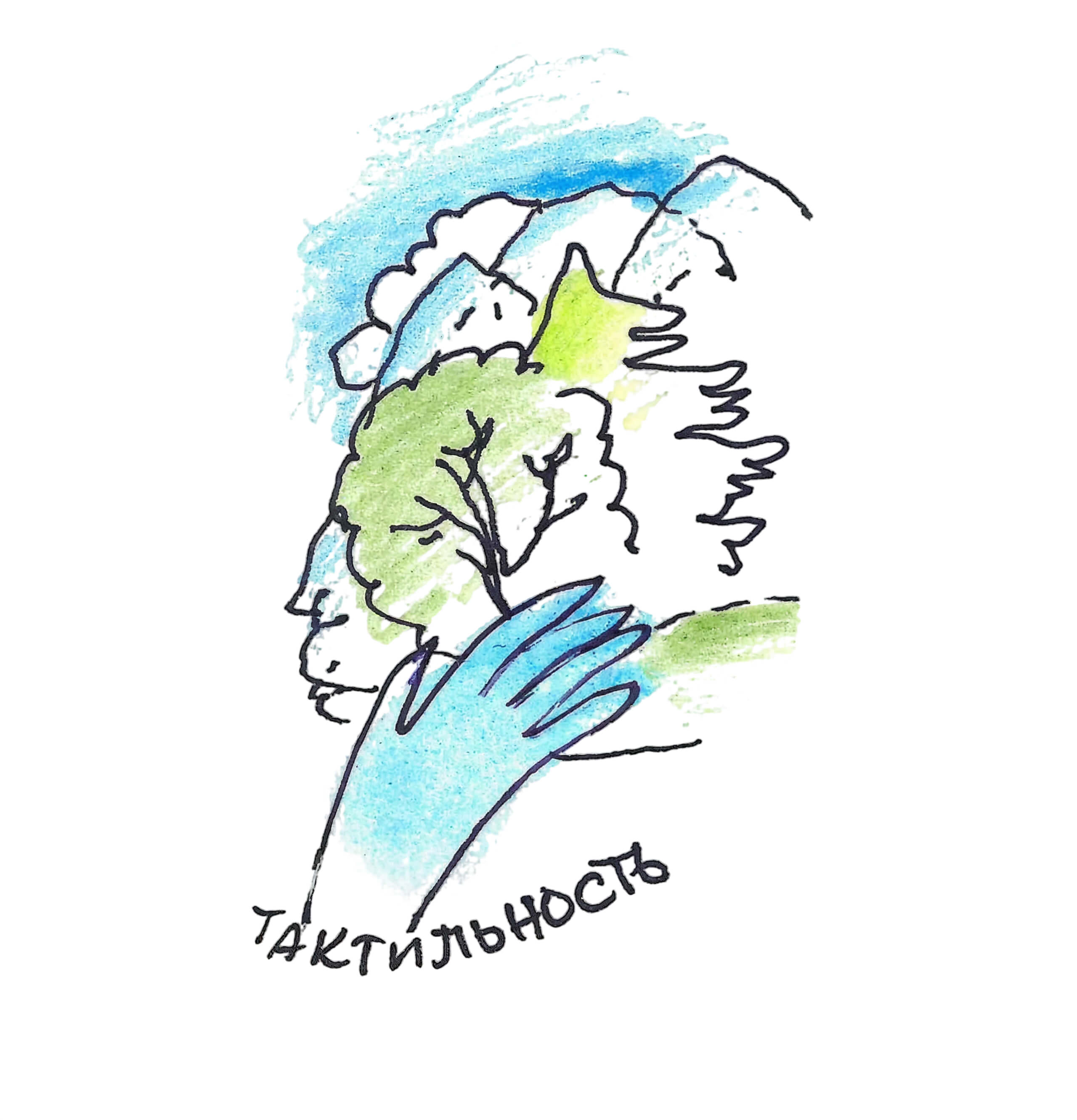 Рисунок тактильности